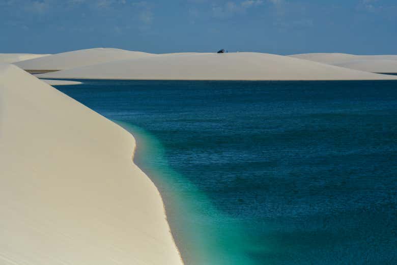 Imagen 3
