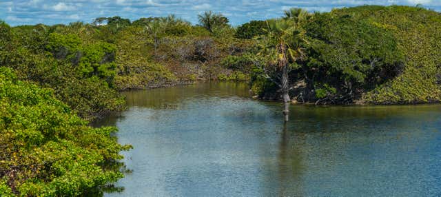 Tour delle lagune di Santo Amaro e das Américas