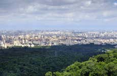 São Paulo Private Day Trip