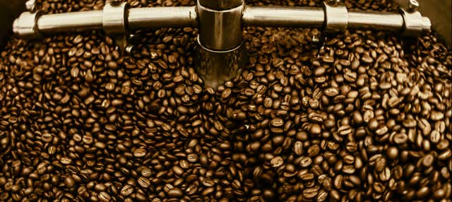 Santos Coffee Private Tour