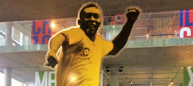 Private Santos Pelé Tour