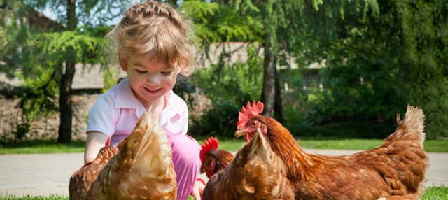 Visita alla tenuta Estância Santa Bárbara