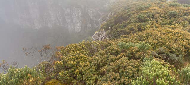 Trekking lungo il sentiero degli Xaxins