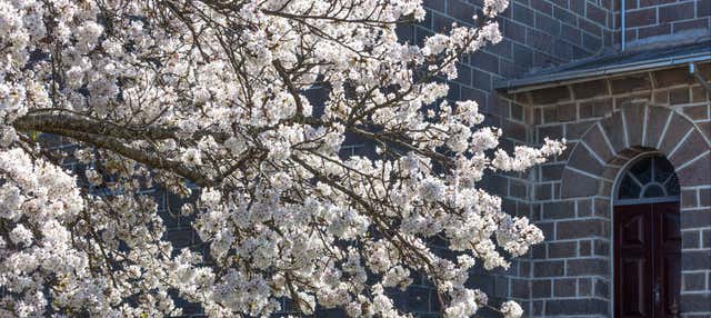 Tour di São Joaquim in bici
