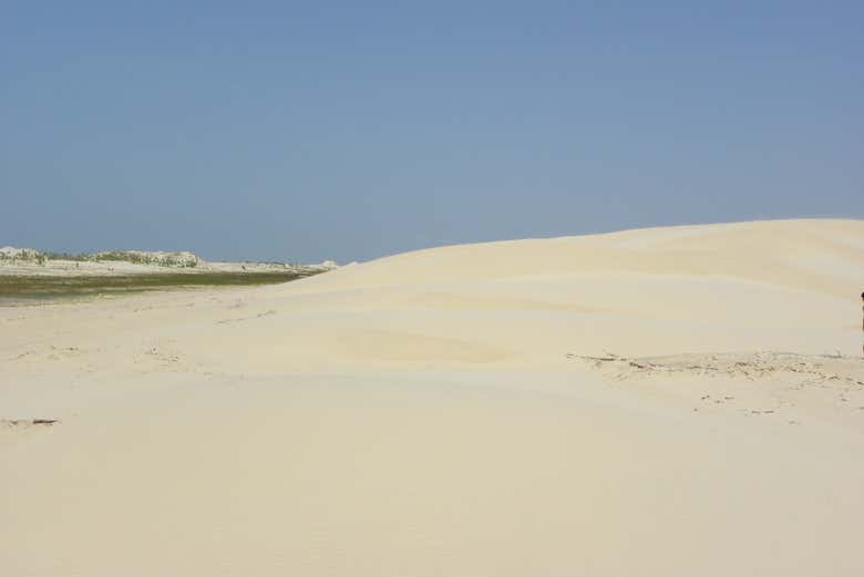 Imagen 6