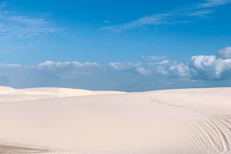 Imagen 6