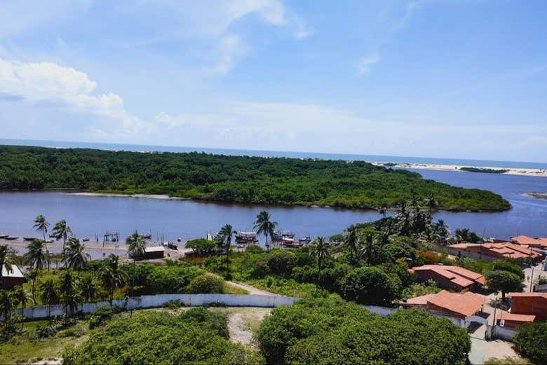 Imagen 4