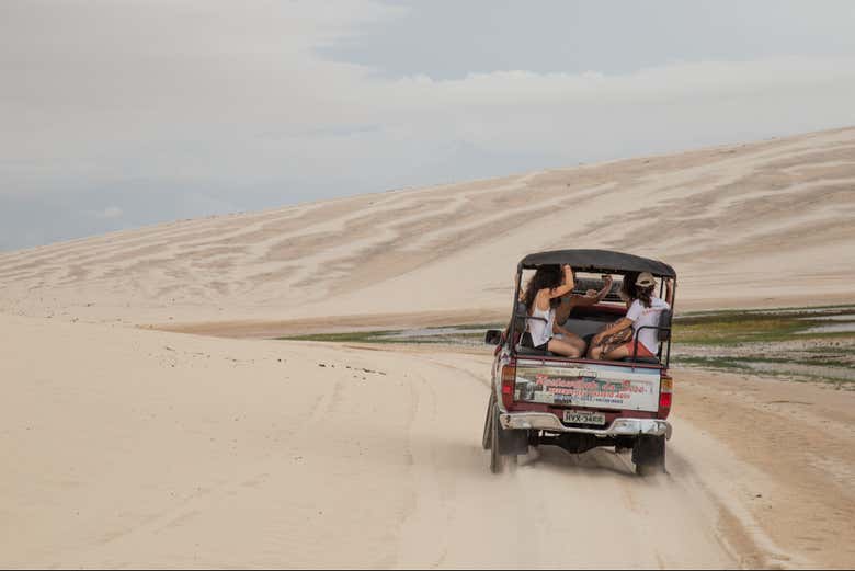 Imagen 5
