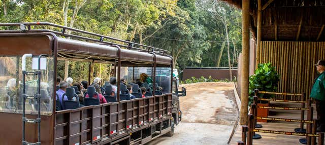 Simba Safari Tickets