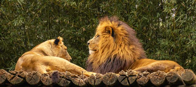 Ingresso do Zoológico de São Paulo