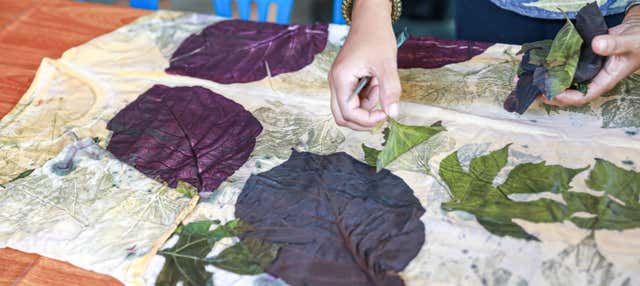 Salto de Pirapora Day Trip + Botanical Printing Workshop