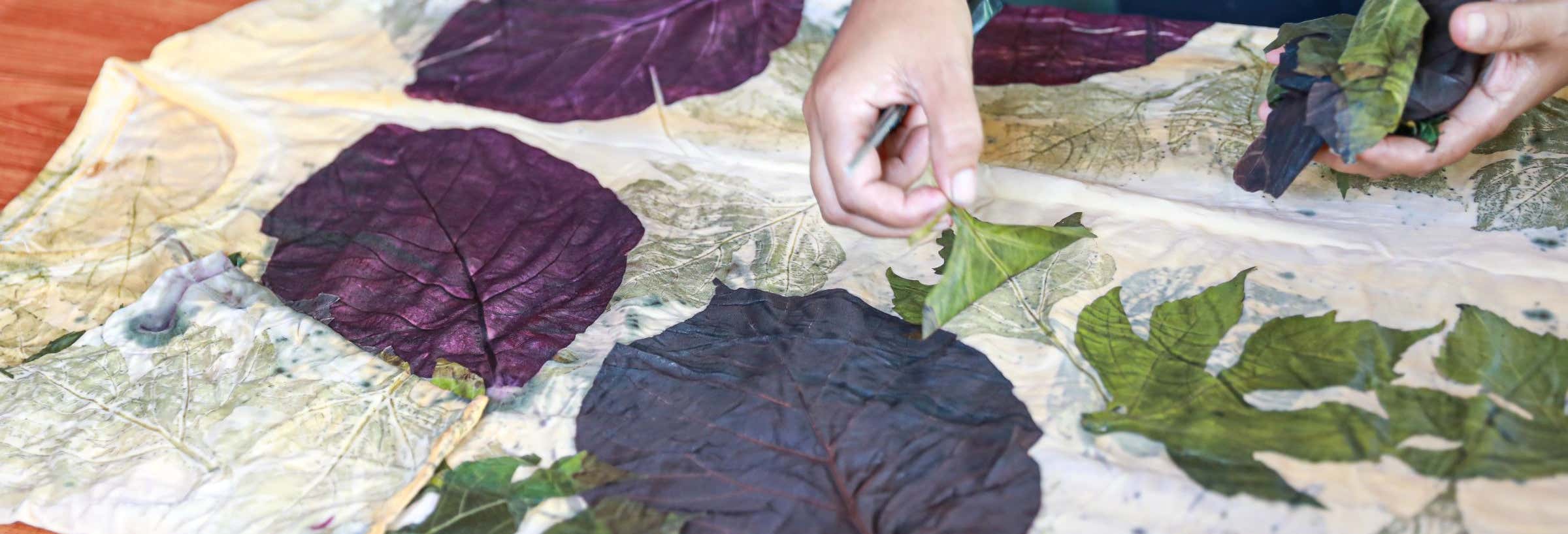 Excursion à Salto de Pirapora avec atelier d'impression botanique
