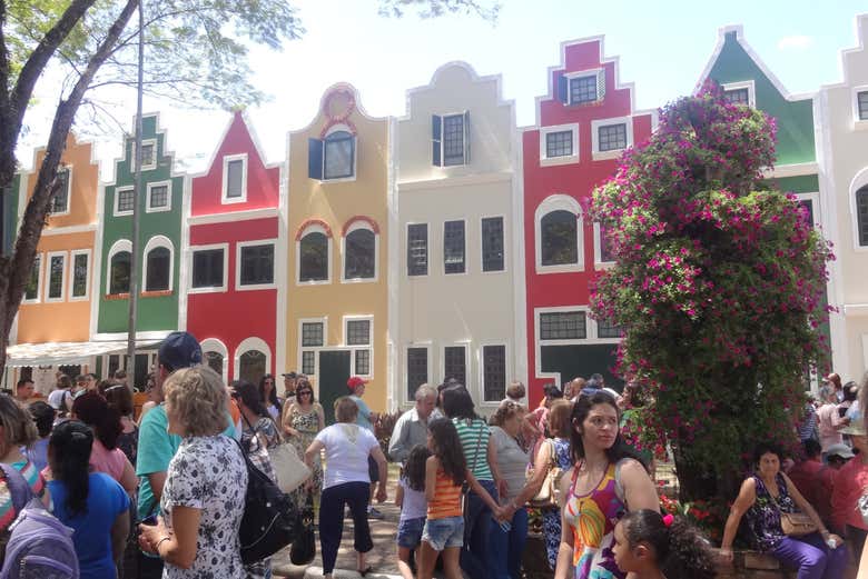 Imagen 5