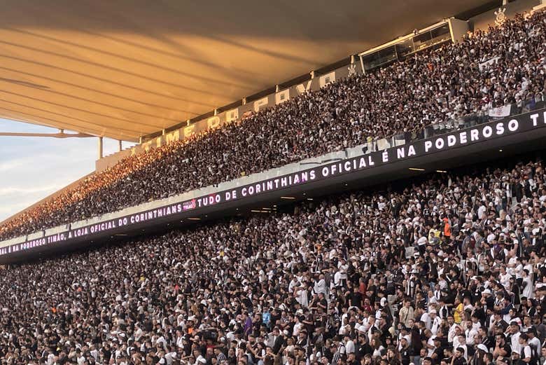 Imagen 10