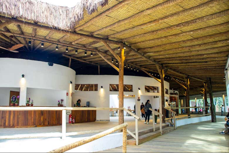 Imagen 2