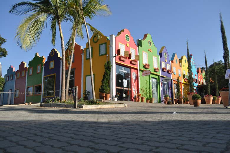 Imagen 7