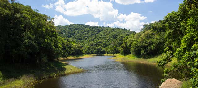 Trekking alla Serra da Cantareira
