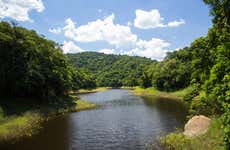 Serra da Cantareira Trekking Experience