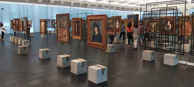 Tour privato dei musei di San Paolo + Parco Ibirapuera 