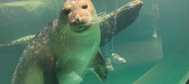Visite de l'aquarium de São Paulo