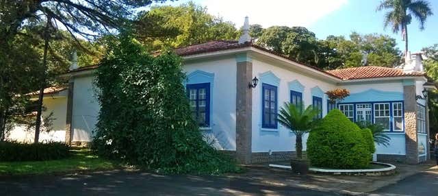 Visita alla piantagione di caffè Tozan