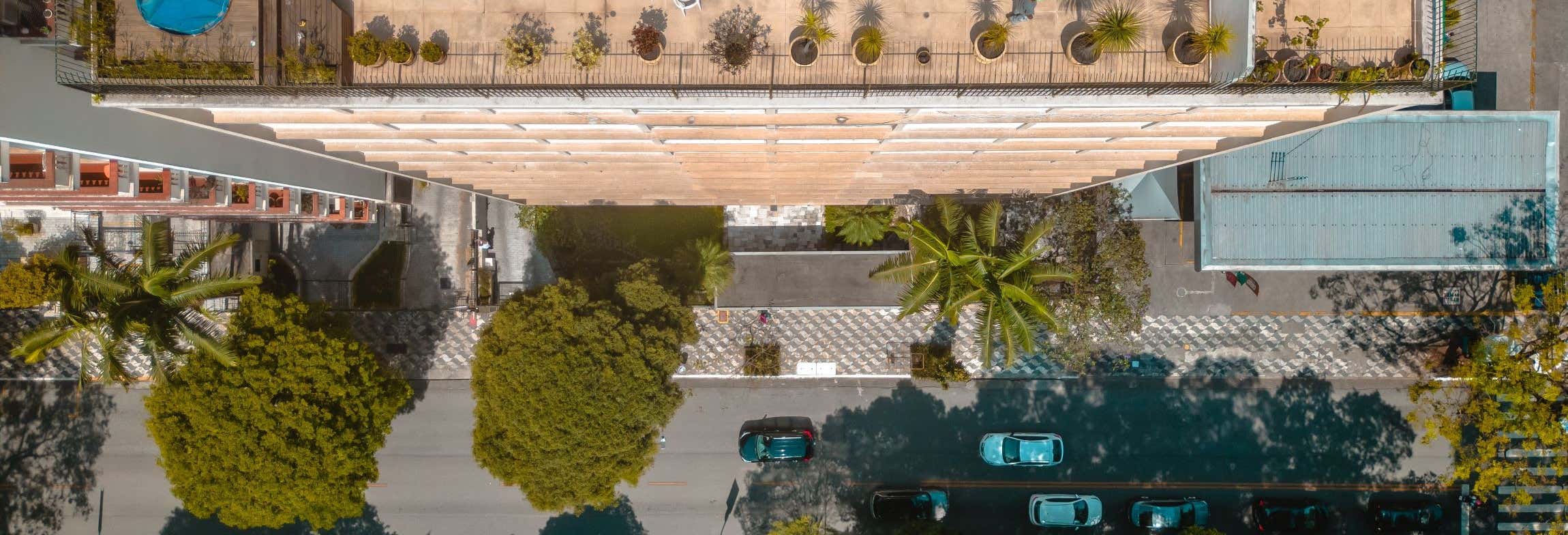 Higienópolis Neighborhood Guided Tour