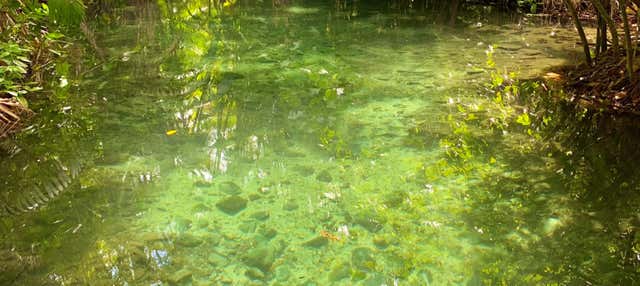 Escursione a Cocal da Estação e Sítio Frecheiras