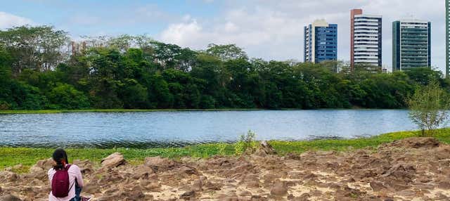 Trekking alla foresta fossile di Teresina
