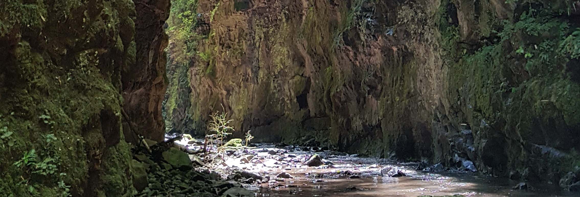 Gavião Faiado Waterfall Hiking Tour