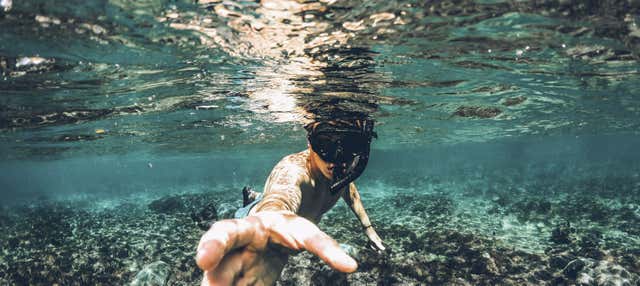Immersione per principianti a Ubatuba