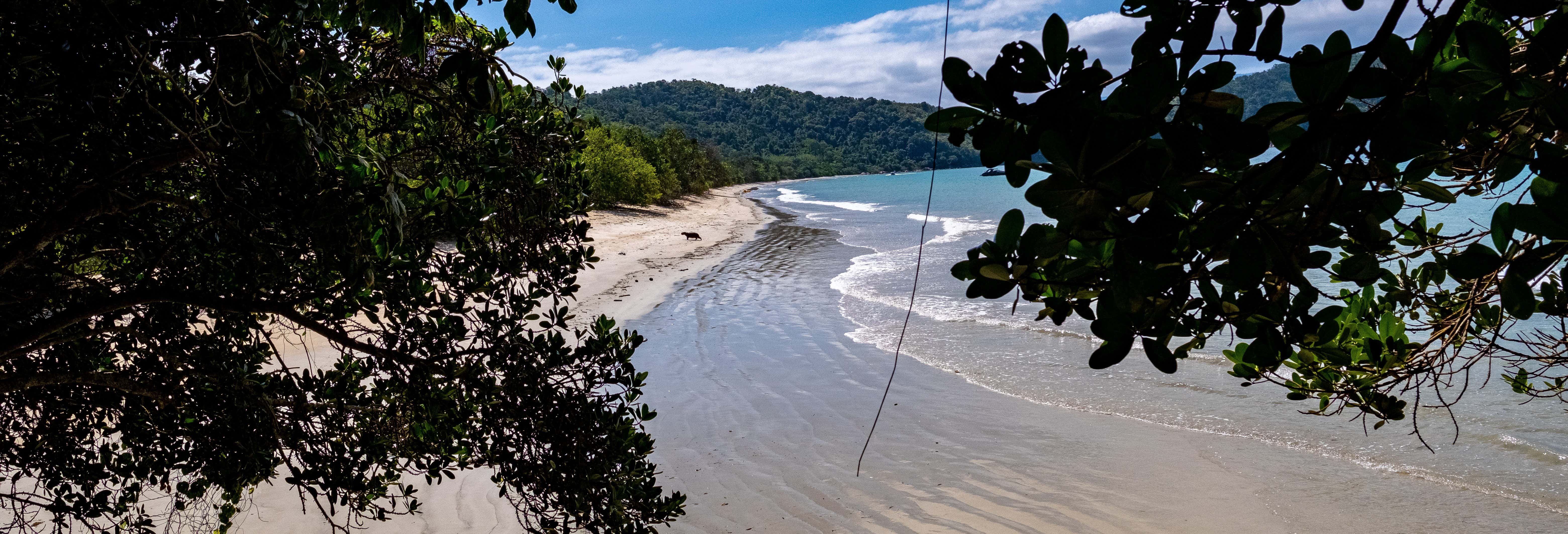 North Ubatuba Boat Tour