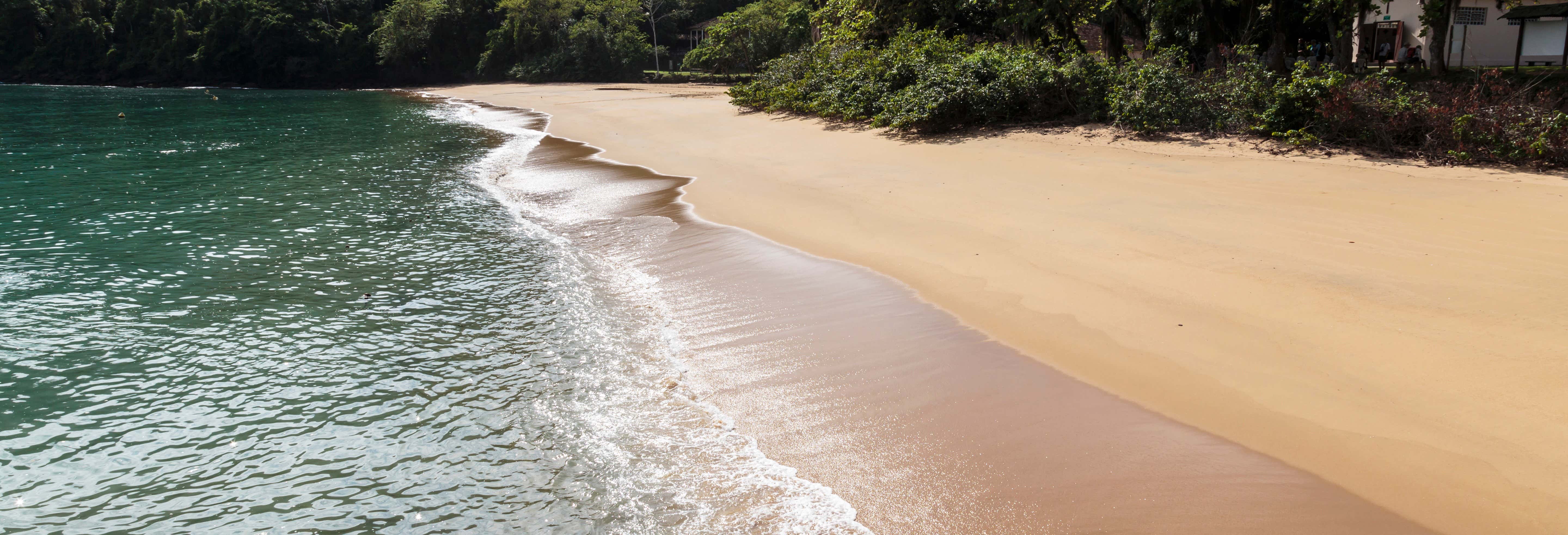 Day Trip to Anchieta Island