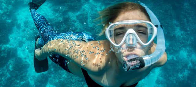 Snorkeling a Ubatuba