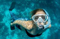 Snorkeling in Ubatuba
