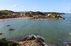 Anchieta Day Trip