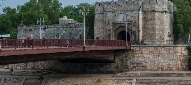 Excursión a Niš