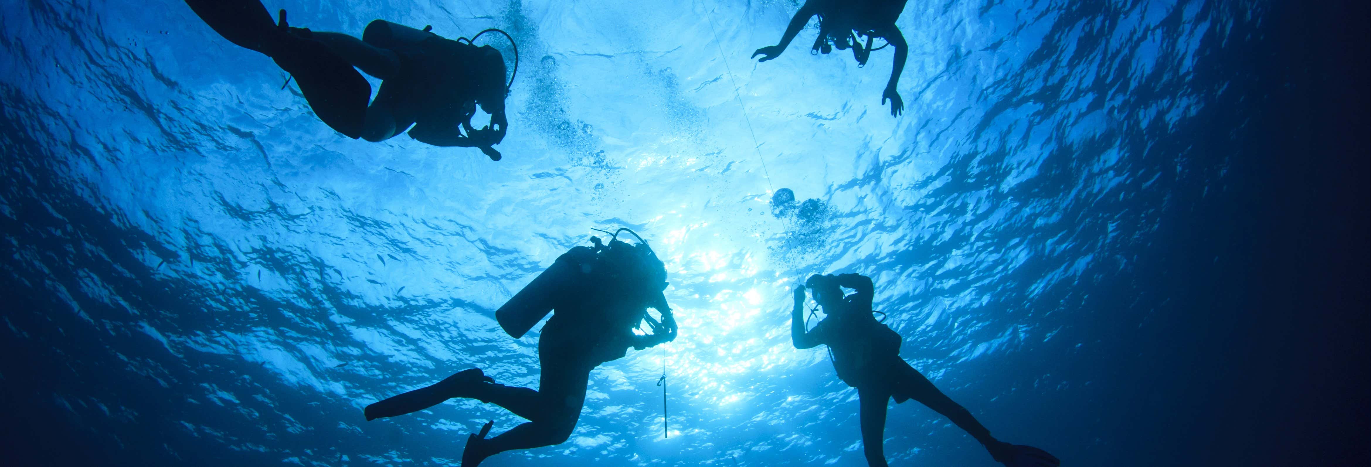 Immersione per principianti a Mindelo