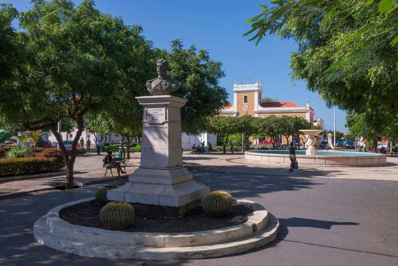 Imagen 7