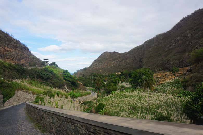 Imagen 8