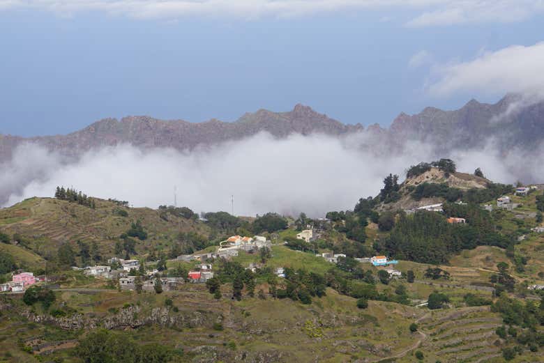 Imagen 7