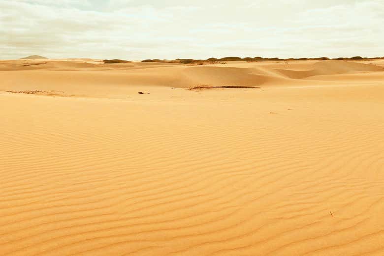 Imagen 3