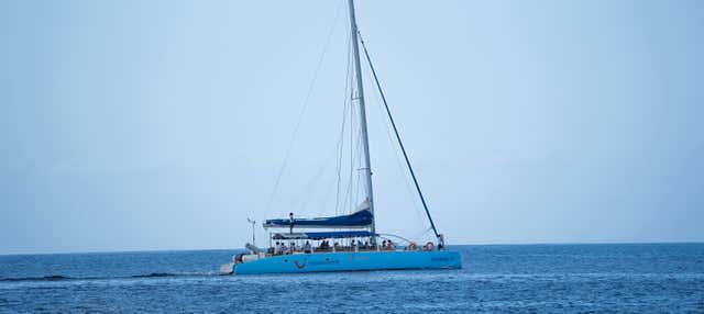 Giro in barca lungo la costa di Sal Rei