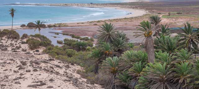Tour del nord-est di Boa Vista + Spiaggia di Ervatão