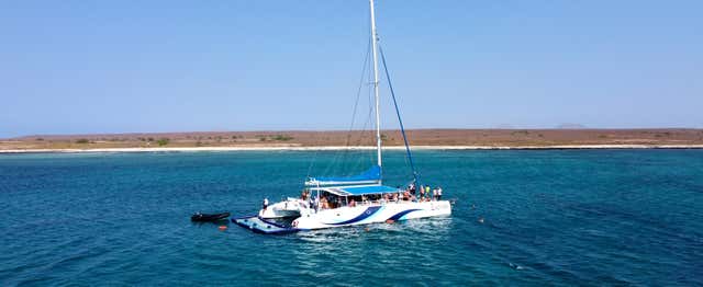 Balade en catamaran sur l'Île de Sal