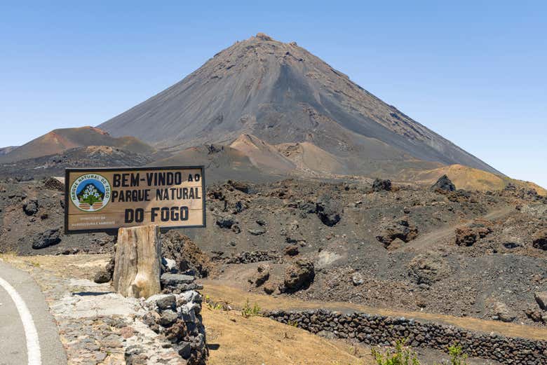 Ver más fotos