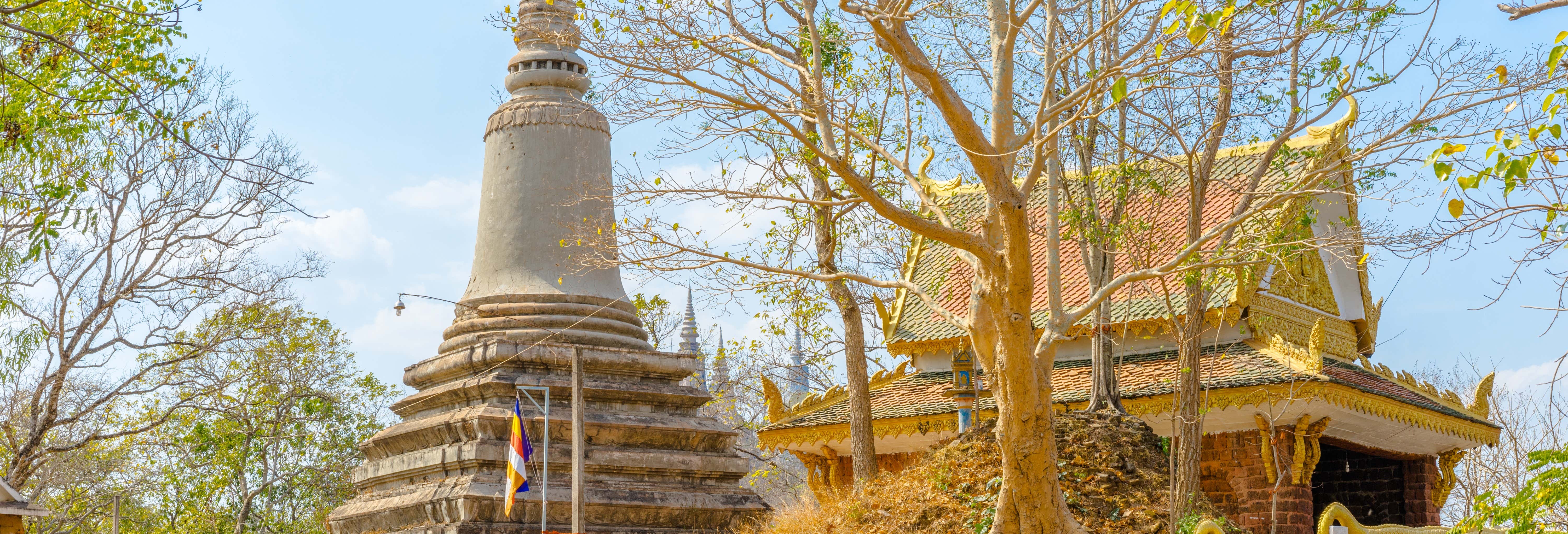 Escursione a privata a Wat Vipassana Dkurak e Udong