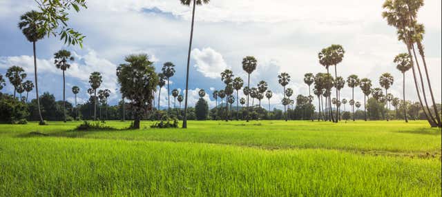 Escursione a un villaggio tradizionale cambogiano