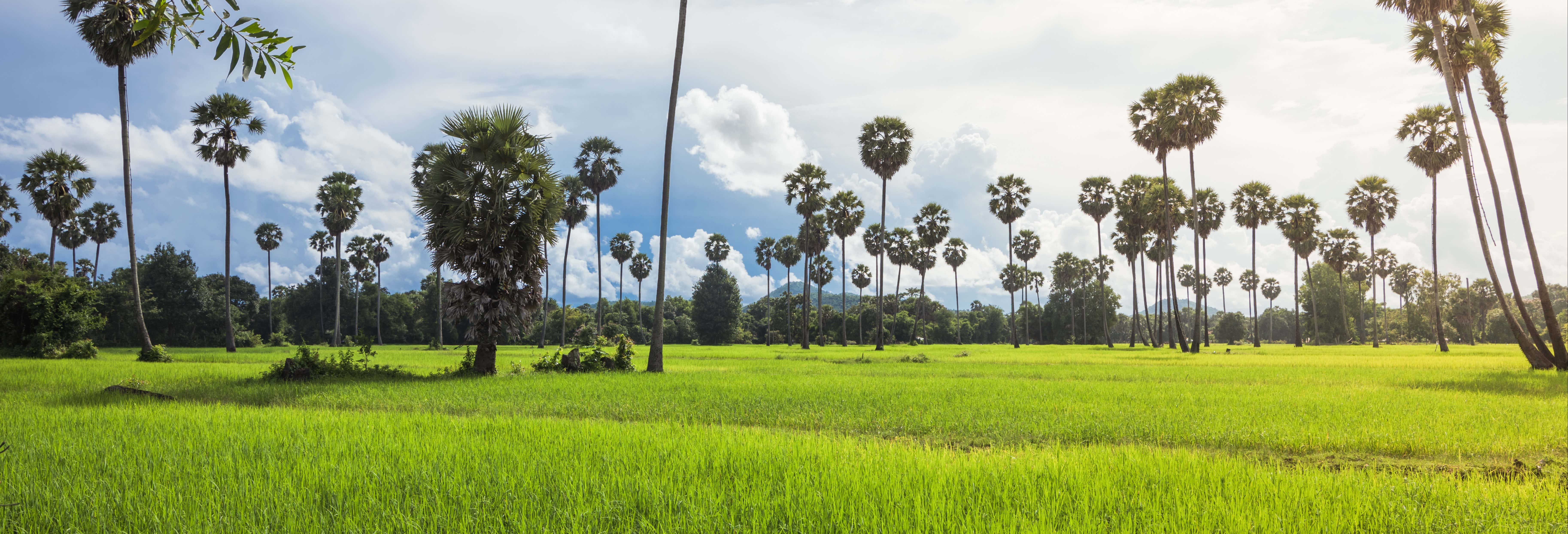 Escursione a un villaggio tradizionale cambogiano