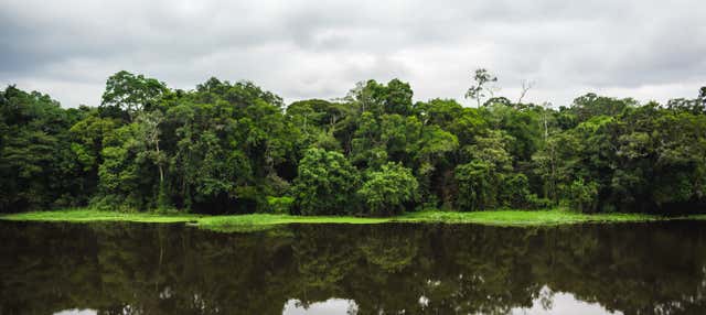 Escursione al Parco Nazionale Mefou e alla riserva forestale Ebogo