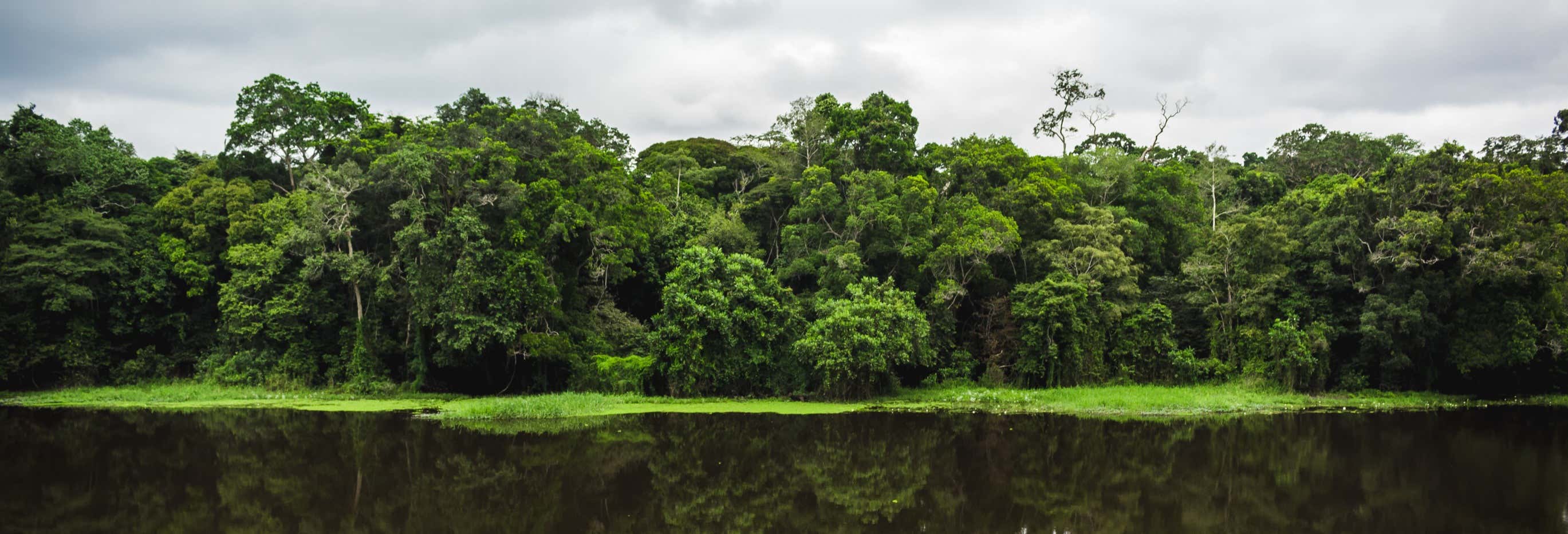 Escursione al Parco Nazionale Mefou e alla riserva forestale Ebogo